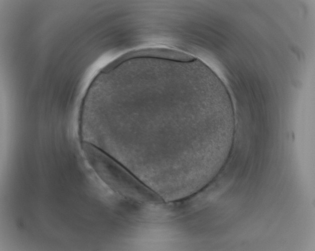 X0000113531104200910091218