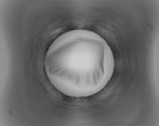 X0000113531105200910091217