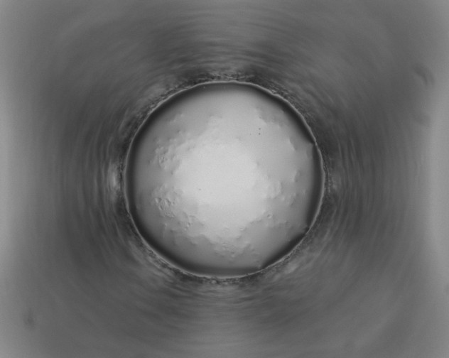 X0000113531106200910091217