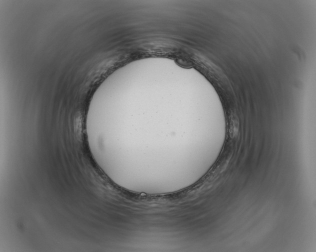 X0000113531108200910091217