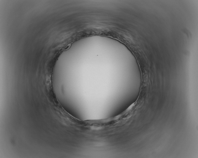 X0000113531109200910091217