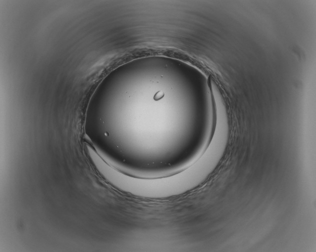 X0000113531110200910091217