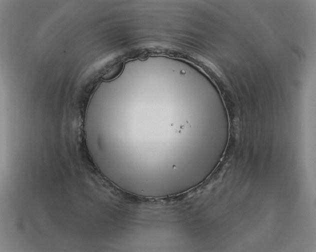 X0000113531111200910091217