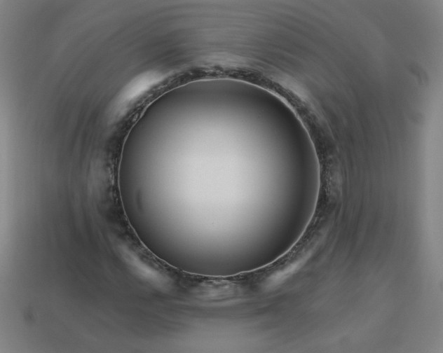 X0000113531112200910091217