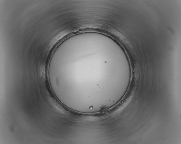 X0000113531113200910091217