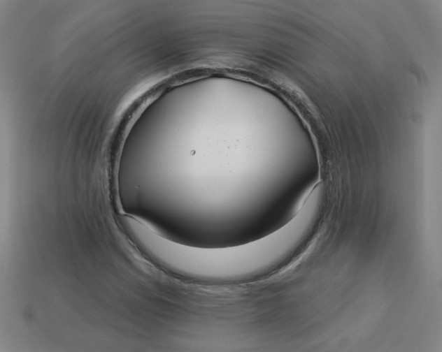 X0000113531114200910091217