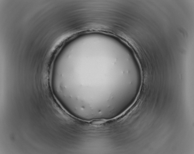 X0000113531115200910091217