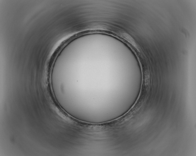 X0000113531116200910091217