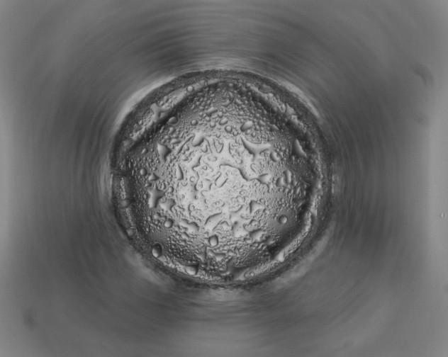 X0000113531117200910091217