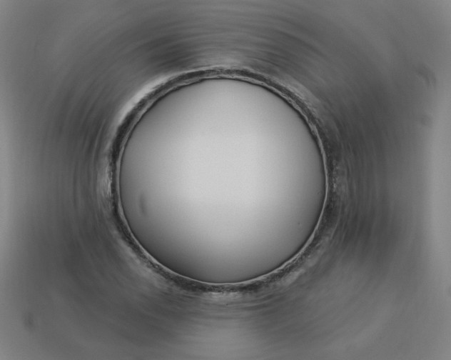 X0000113531118200910091217