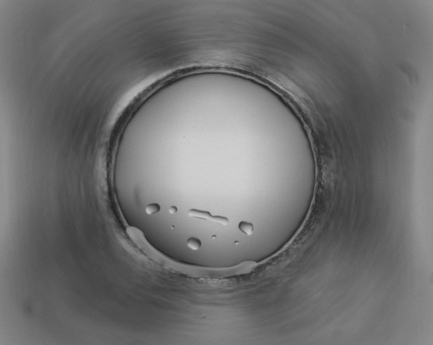 X0000113531120200910091217