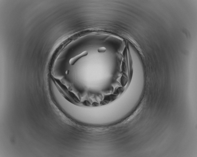 X0000113531122200910091217