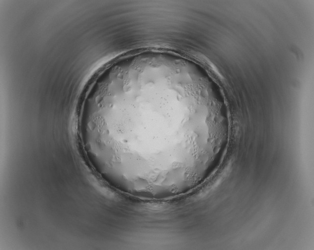 X0000113531125200910091217