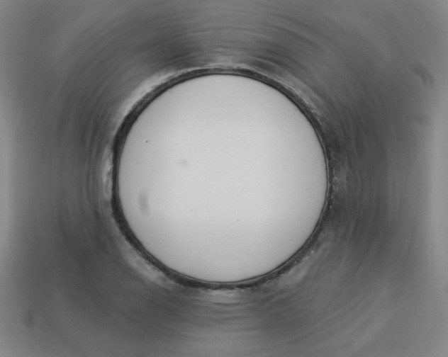 X0000113531126200910091217