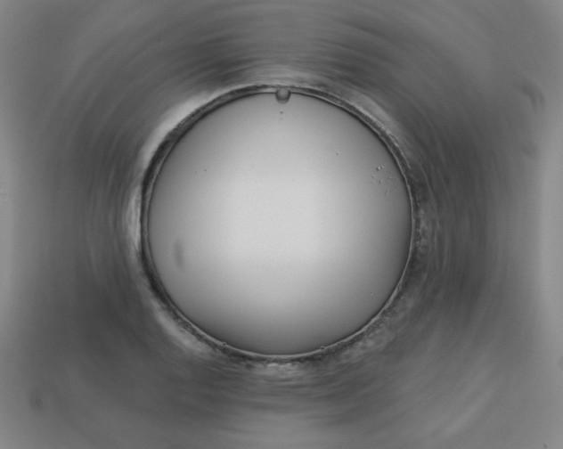 X0000113531128200910091217