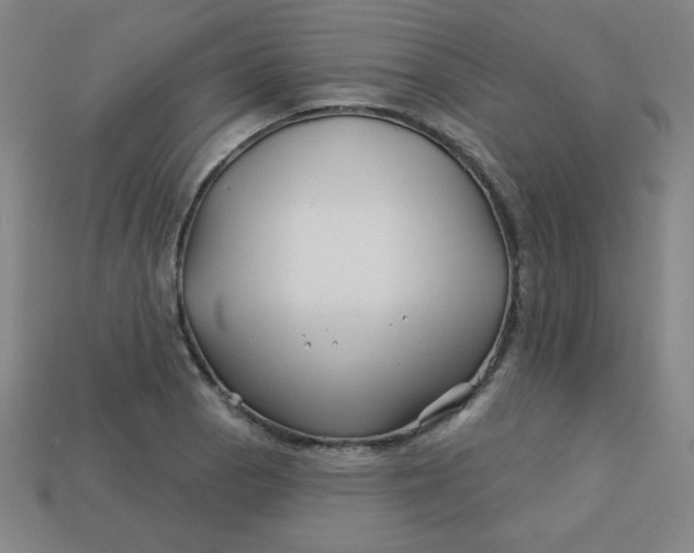 X0000113531129200910091217