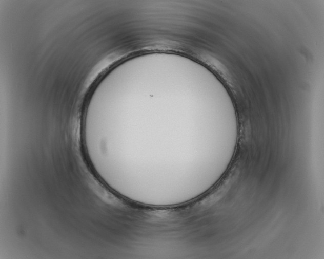 X0000113531130200910091217