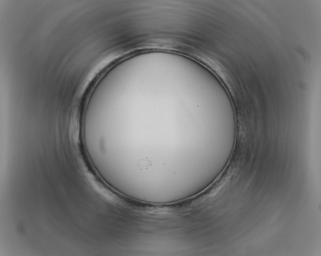 X0000113531131200910091217