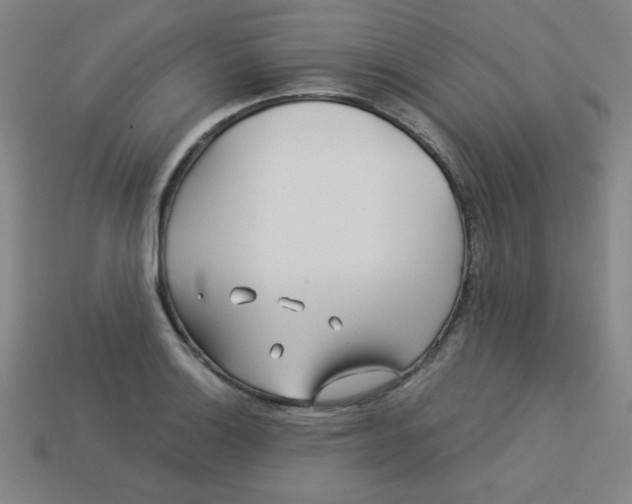 X0000113531132200910091217