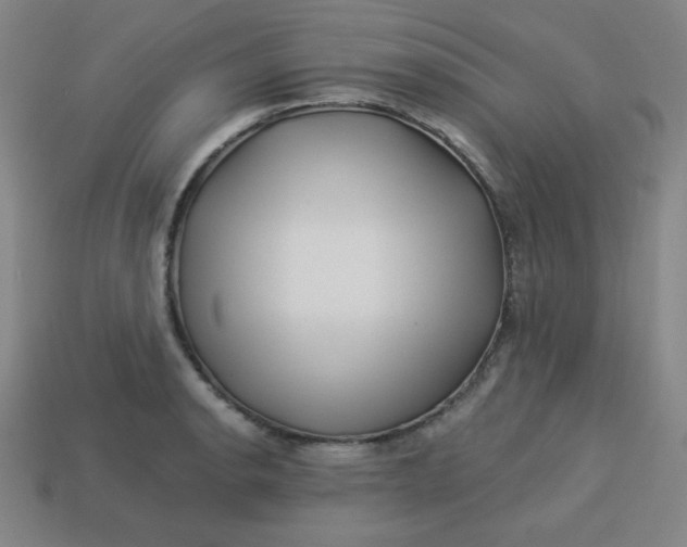 X0000113531134200910091217