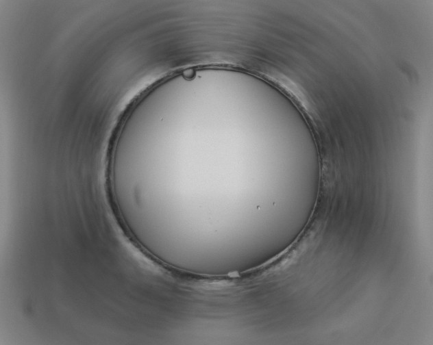 X0000113531135200910091217