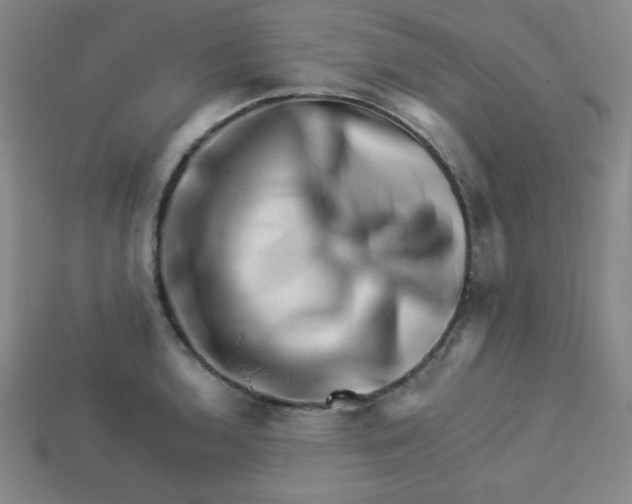 X0000113531136200910091217