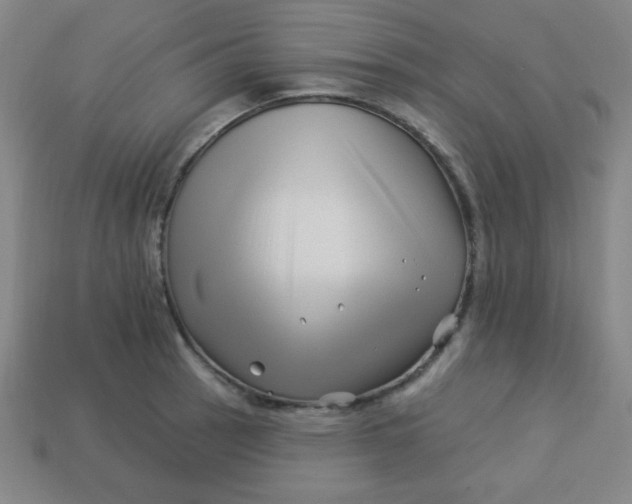 X0000113531137200910091217