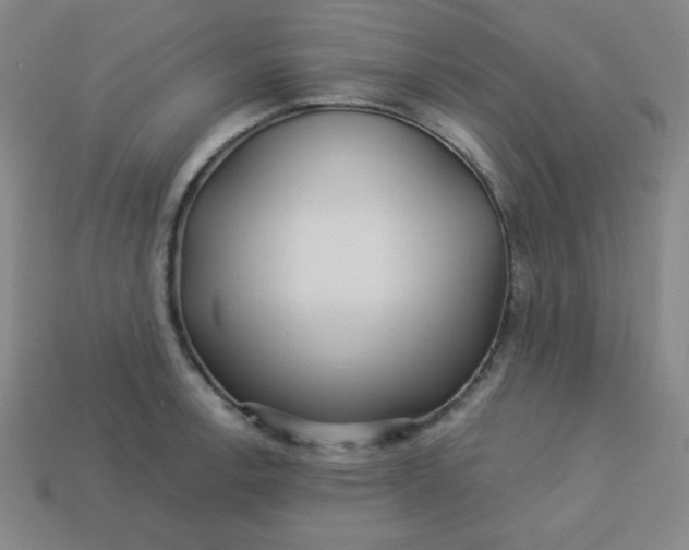 X0000113531138200910091217