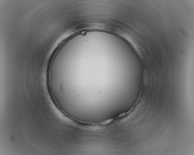 X0000113531139200910091217