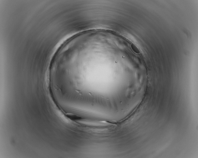 X0000113531140200910091217