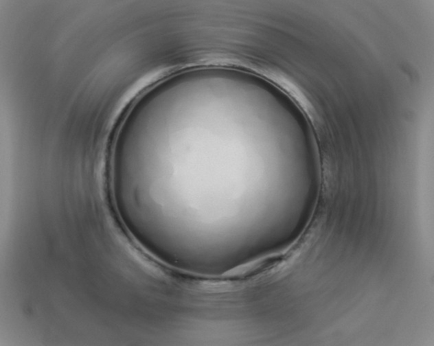 X0000113531142200910091217