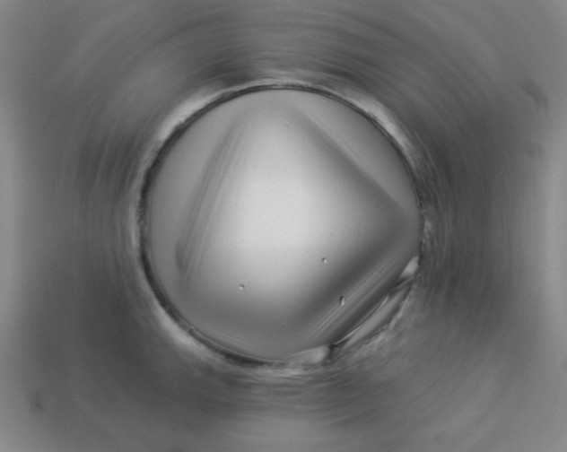 X0000113531143200910091217