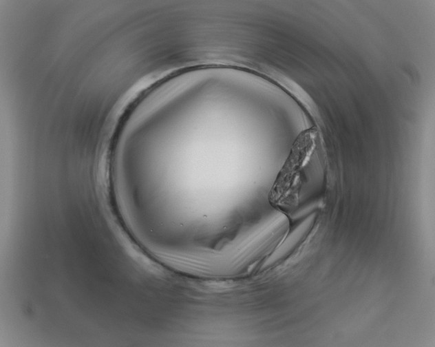 X0000113531144200910091217