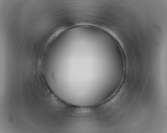 X0000113531145200910091217