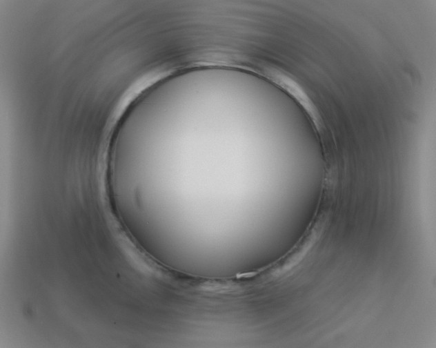 X0000113531146200910091217