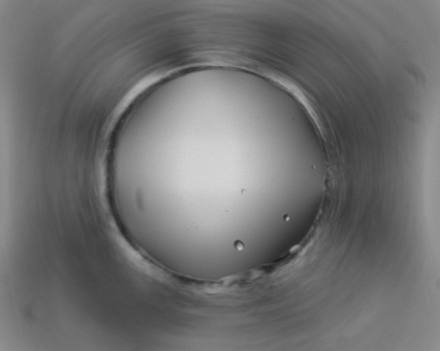 X0000113531147200910091217