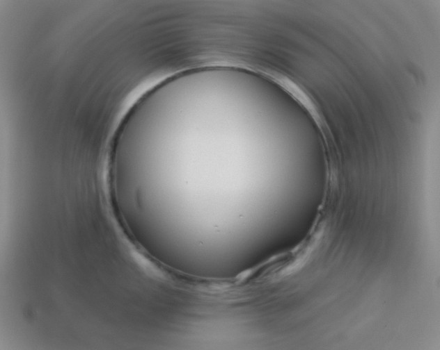 X0000113531149200910091217