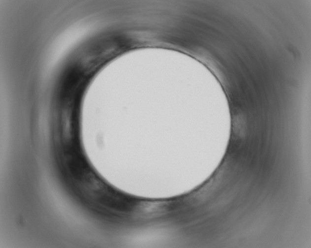 X0000113531150200910091218