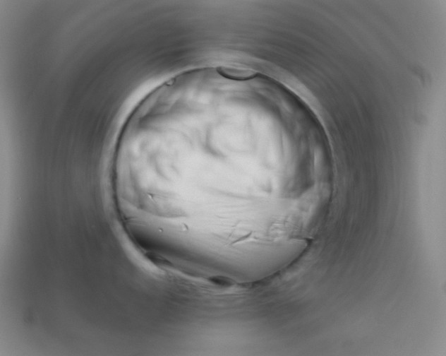 X0000113531152200910091218