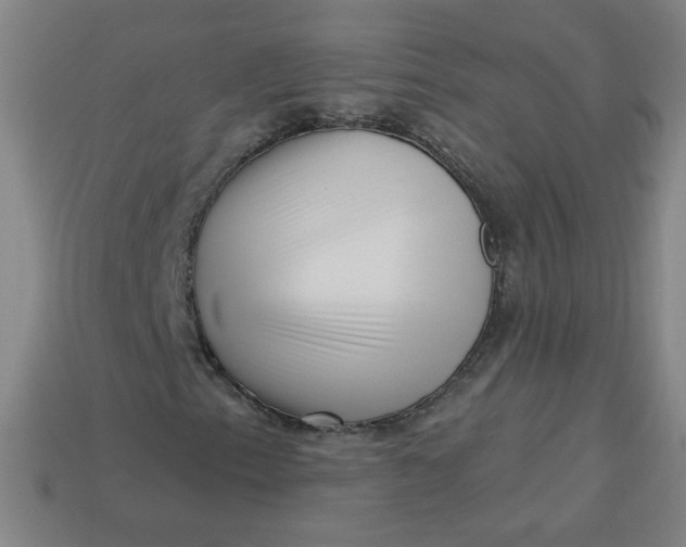 X0000113531153200910091217