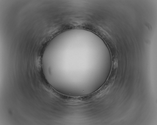 X0000113531156200910091217