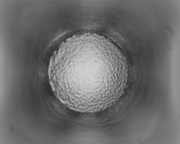 X0000113531158200910091217