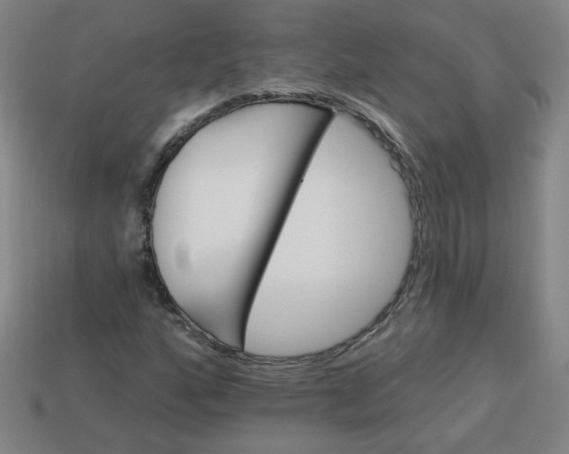 X0000113531160200910091217