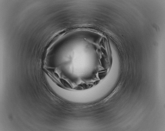 X0000113531161200910091217