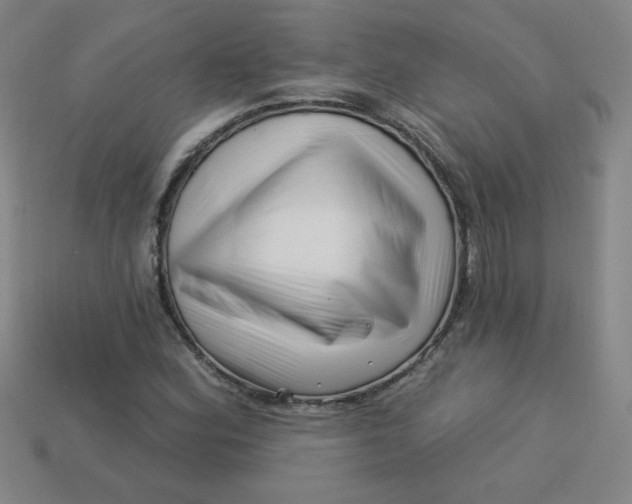 X0000113531164200910091217