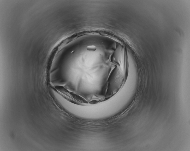 X0000113531165200910091217