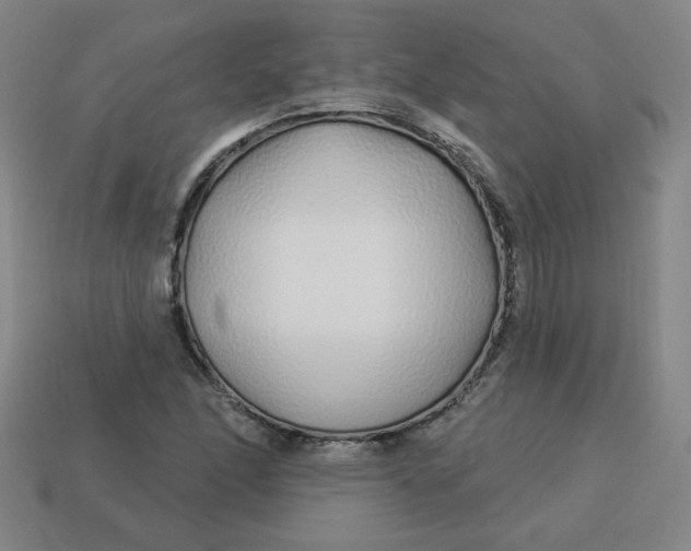 X0000113531166200910091217