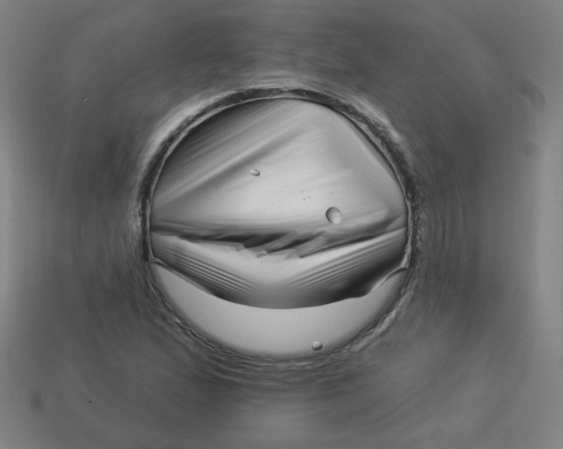 X0000113531167200910091217