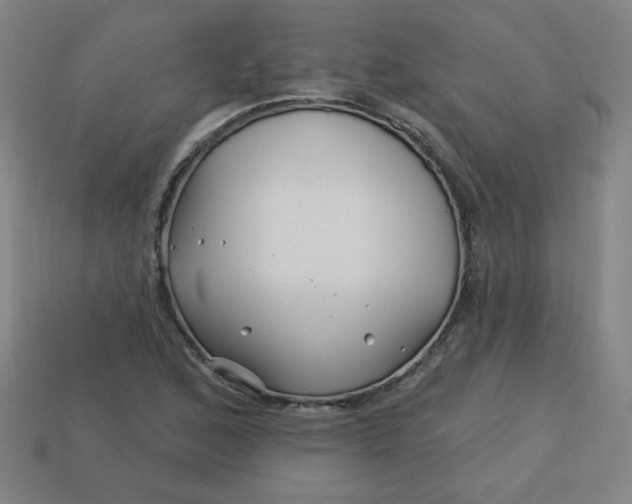 X0000113531168200910091217