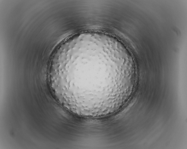 X0000113531170200910091217